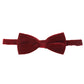 Alvaro Castagnino Men's Maroon Colored Bow Tie