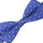 Alvaro Castagnino Men's Royal & Yellow Colored Bow Tie