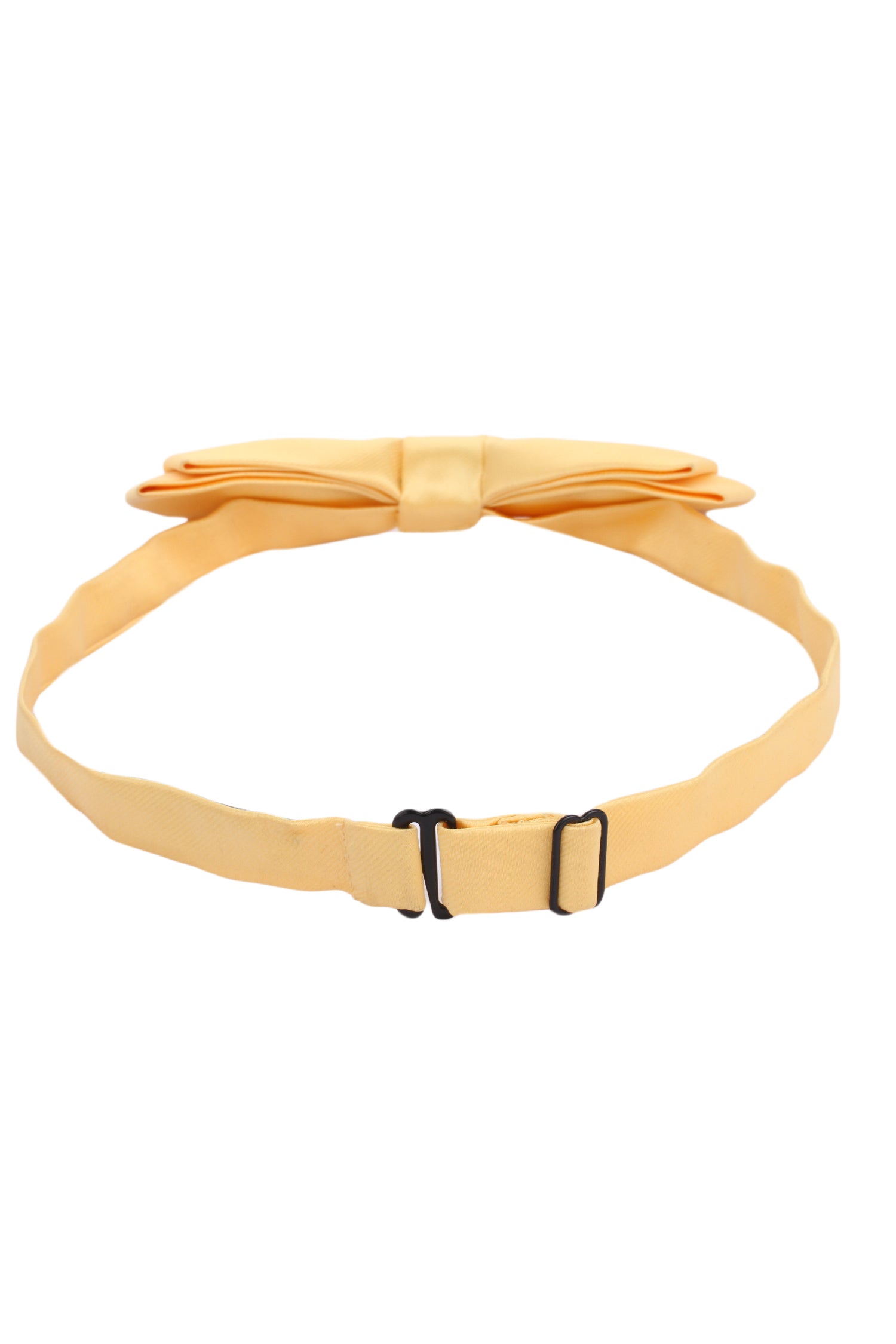 Alvaro Castagnino Men's Yellow Colored Microfiber Bow Tie