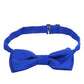 Alvaro Castagnino Men's Royal Blue Colored Microfiber Bow Tie